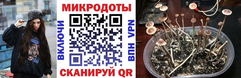 Галлюциногенные грибы Magic Shrooms Всеволожск
